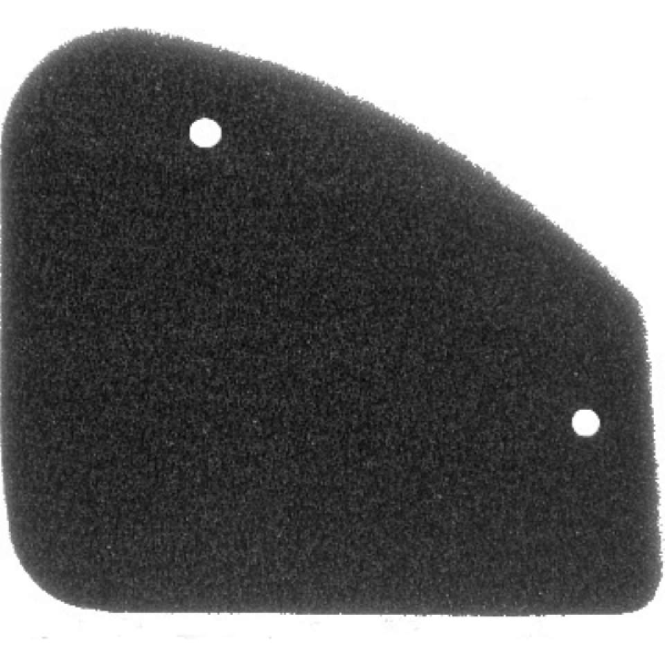 Filtre à air pour  