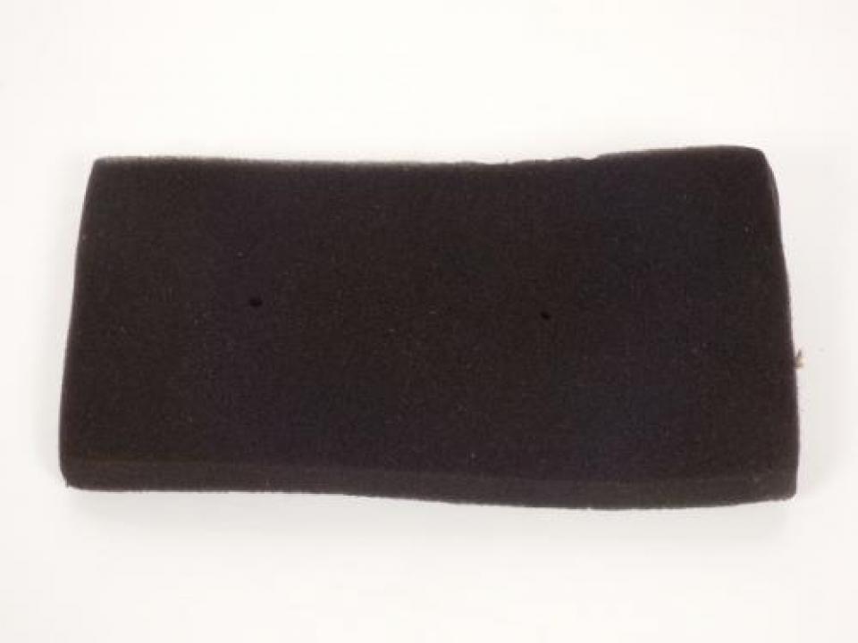 Filtre à air pour  
