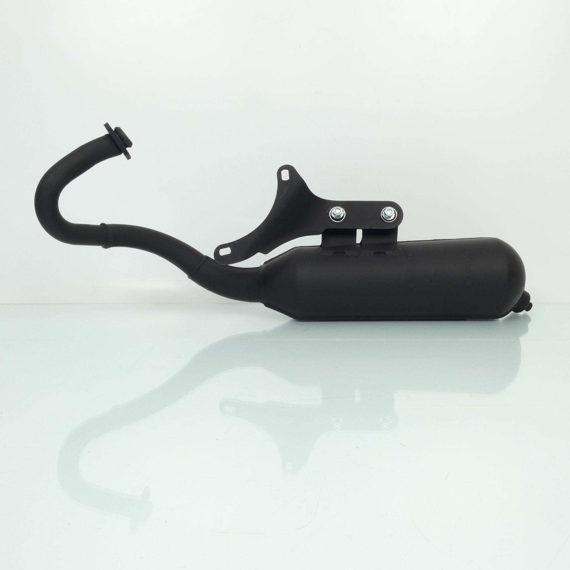 Pot d échappement Malossi Wild Lion pour scooter Aprilia 50 Scarabeo 2T Neuf