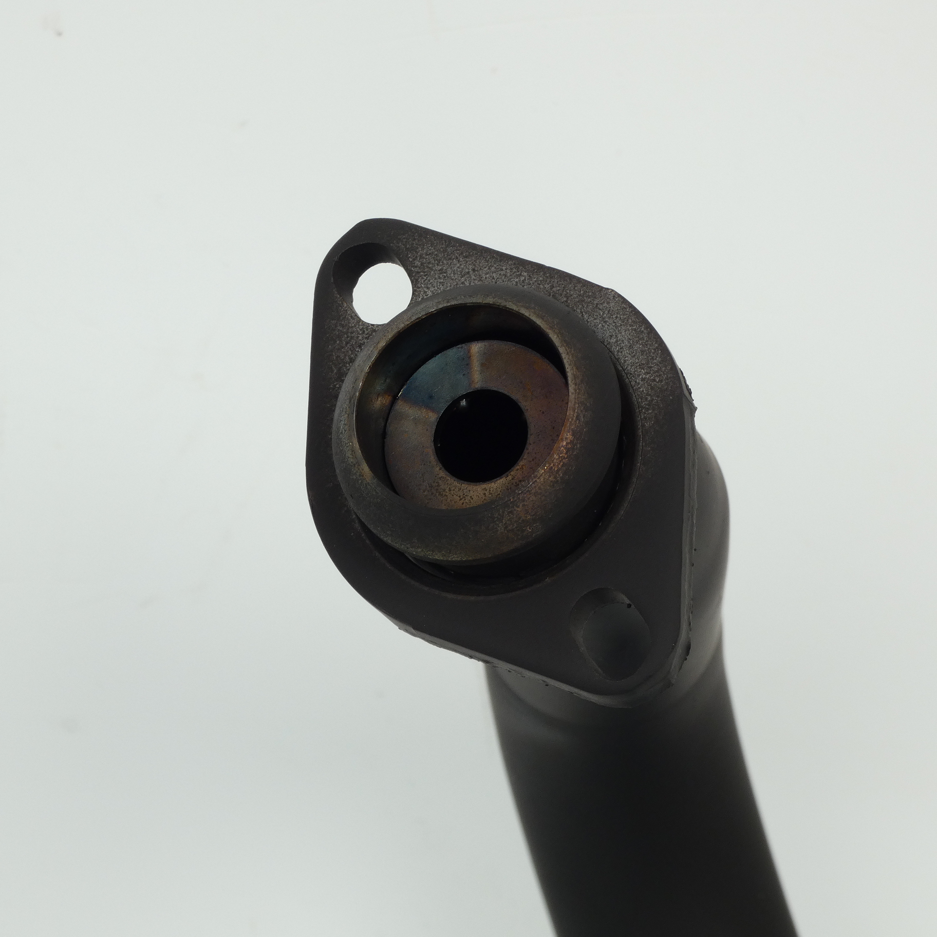 Pot d échappement Malossi Wild Lion pour scooter Aprilia 50 Scarabeo 2T Neuf