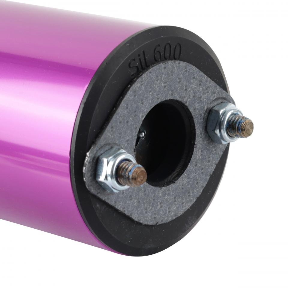 Pot d échappement Yasuni pour Moto Beta 50 RR PRO RACE Neuf