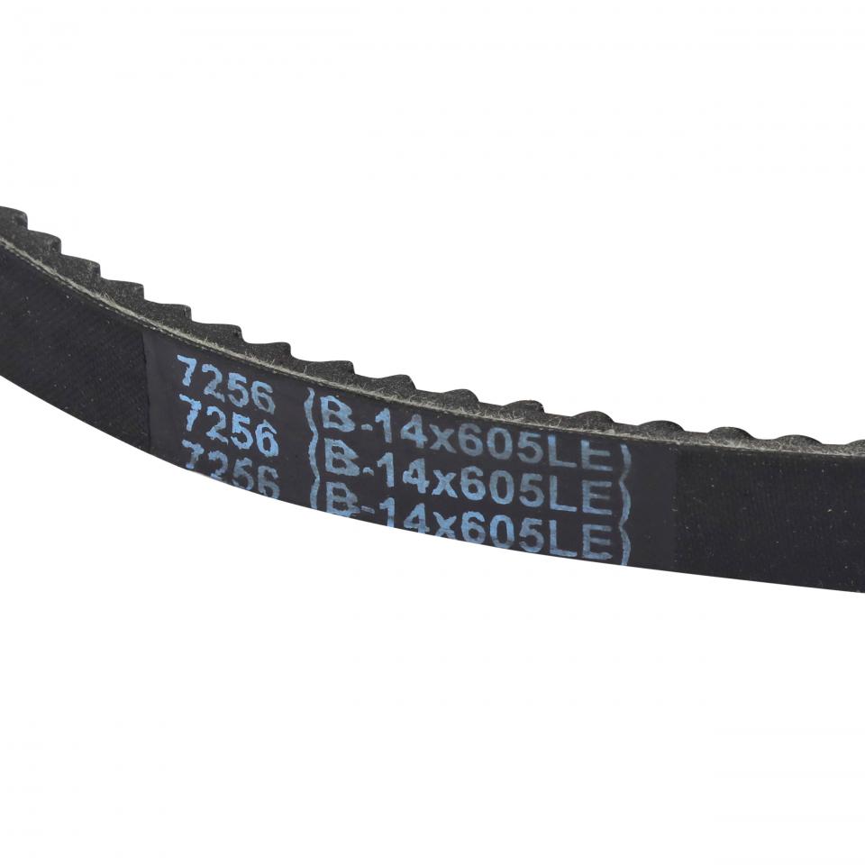 Courroie de transmission SELECTION P2R (Motorisé) pour Auto Neuf