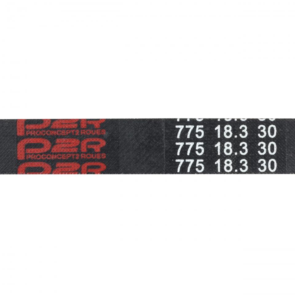 Courroie de transmission P2R (Motorisé) pour Auto Neuf