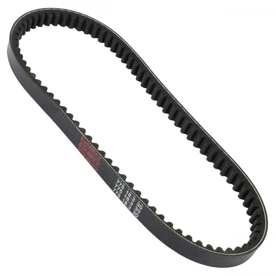 Courroie de transmission P2R (Motorisé) pour Auto Neuf