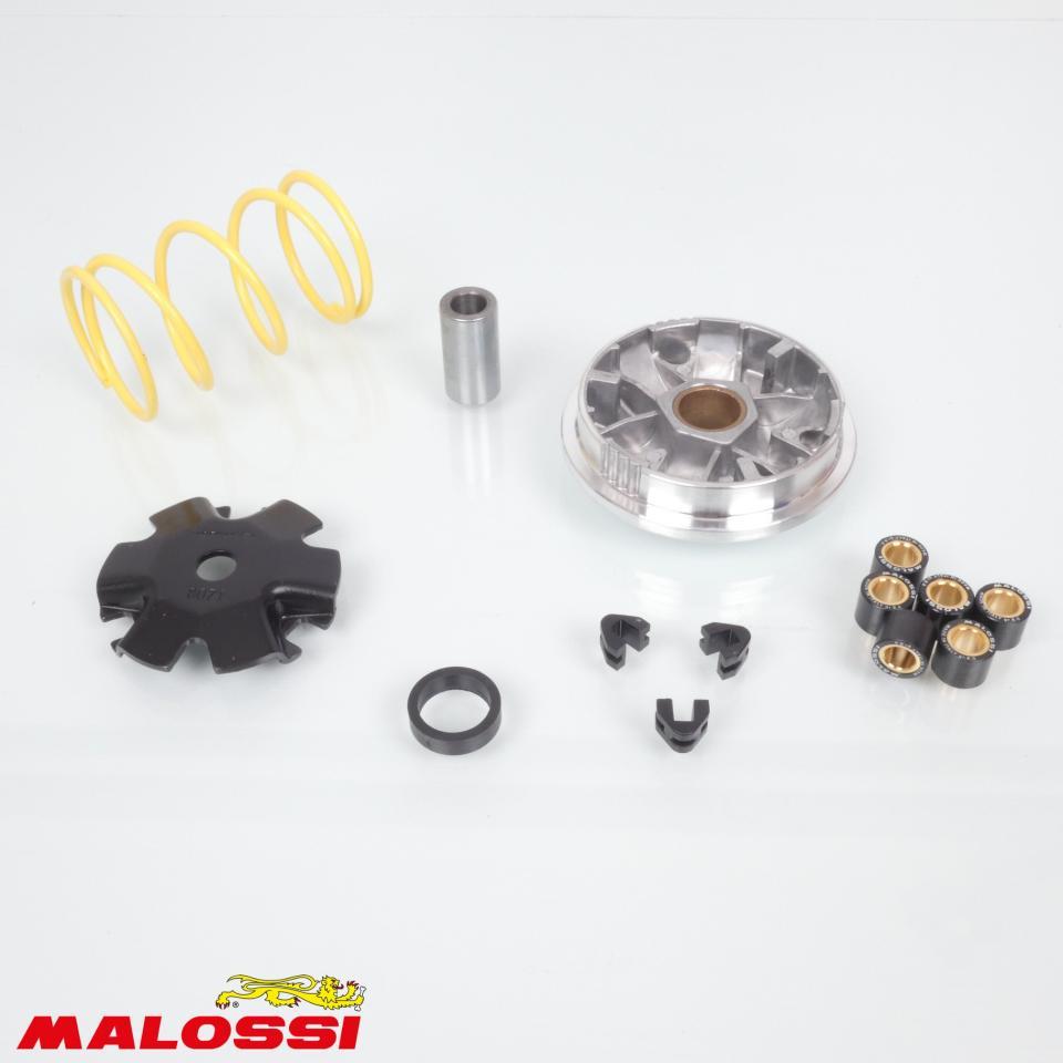 Variateur Malossi pour Scooter Honda 50 SFX 51 7117 / Multivar Neuf