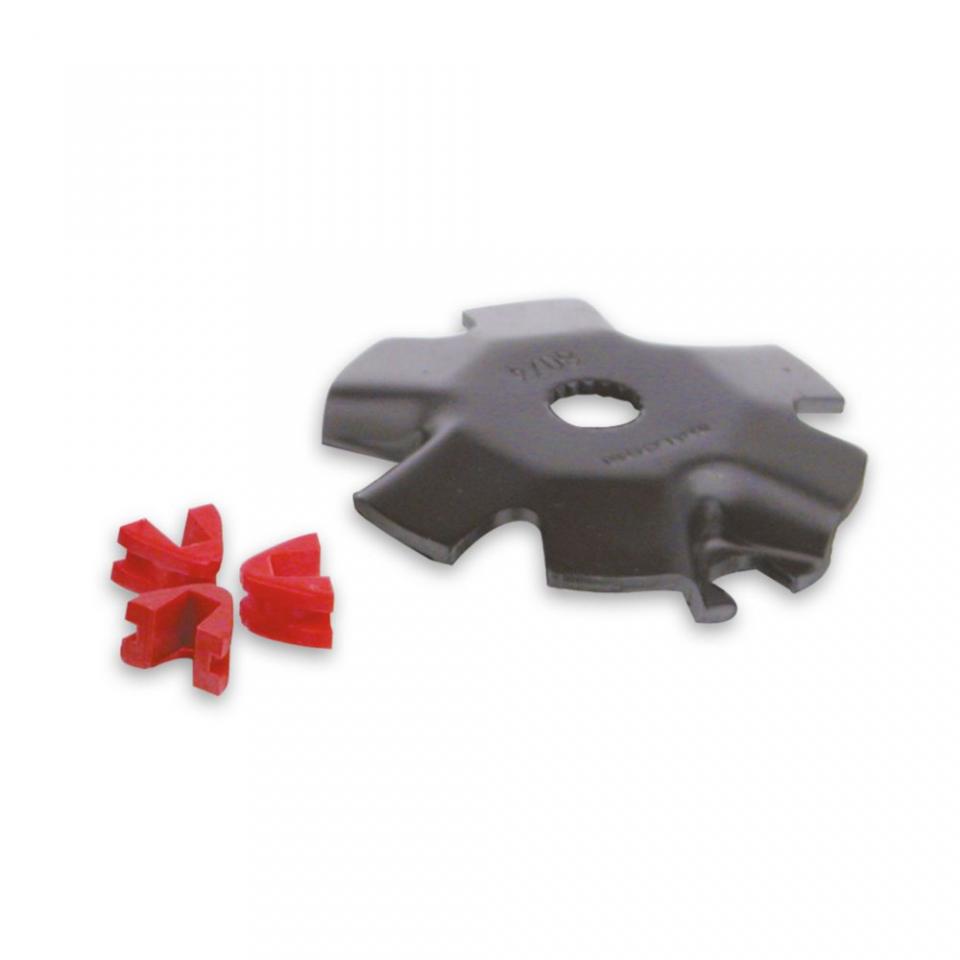 Variateur Malossi pour Scooter Italjet 50 Dragster 1999 à 2003 Neuf