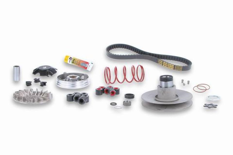 Variateur Malossi pour Scooter Aeon 50 Aero 2006 à 2007 Neuf