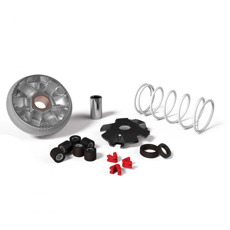 Variateur Malossi pour Scooter Malaguti 50 F15 AC Neuf