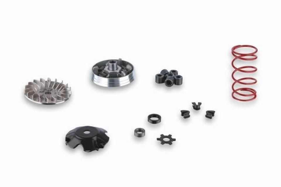 Variateur Malossi pour Scooter Benelli 50 491 St Neuf