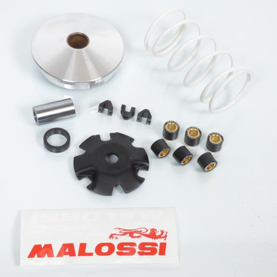 Variateur Malossi pour Scooter Peugeot 50 Elystar 518752 / Multivar Neuf