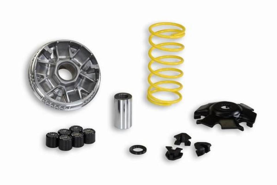 Variateur pour Linhai Monarch