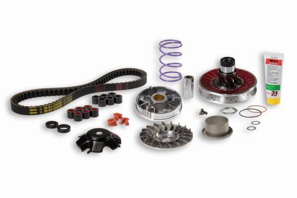 Variateur Malossi pour Scooter Aprilia 50 Sr R Factory 2004 à 2009 Neuf