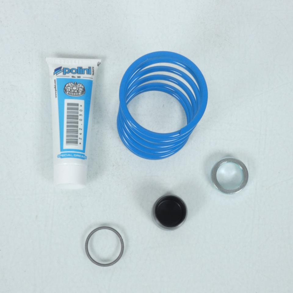 Kit Variateur Polini pour scooter Suzuki 125 Burgman 2001 à 2020 241.686 Neuf