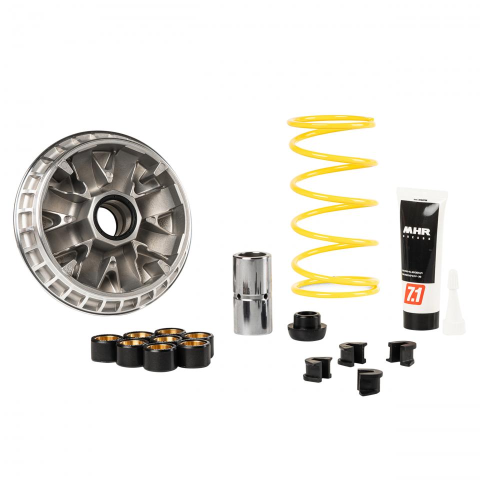 Variateur Malossi pour ULM Piaggio 530 MP3 EXCLUSIVE Après 2022 5119793 Neuf