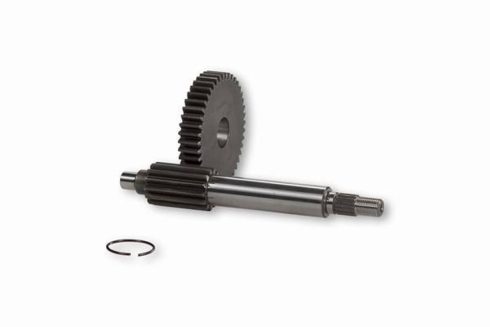 Pont arrière de transmission Malossi pour Scooter Aprilia 50 SR 6713339 Neuf