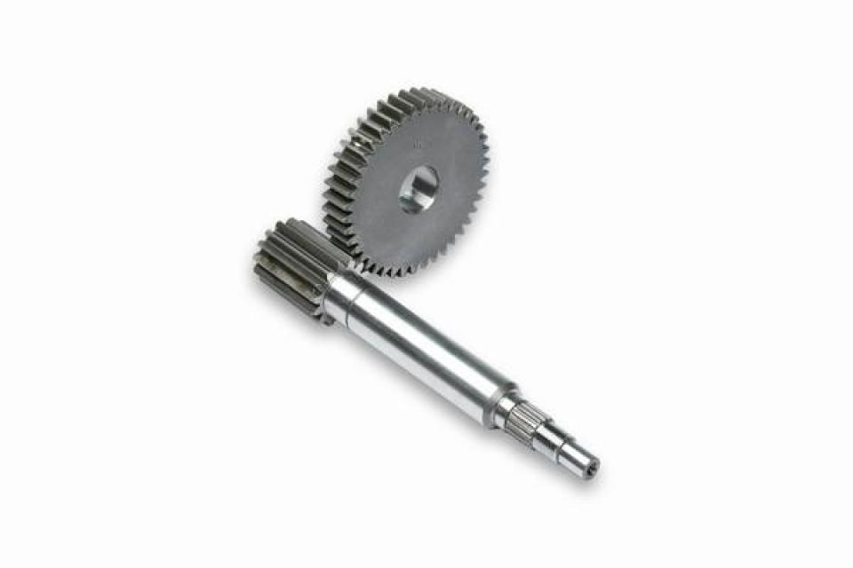 Pont arrière de transmission Malossi pour Scooter CPI 50 Hussar Neuf