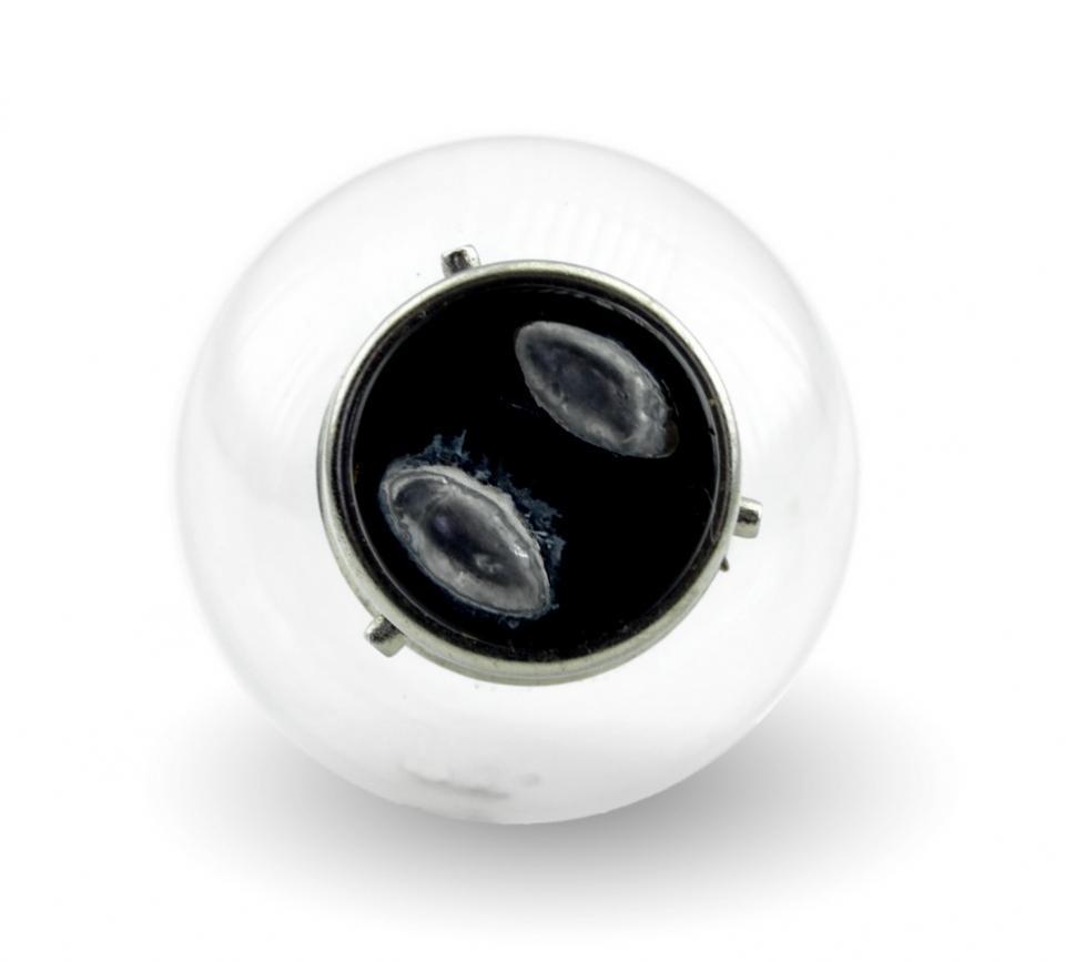Ampoule Tecnium pour Auto G40 BA21D 12V 45/40W à l'unité Neuf