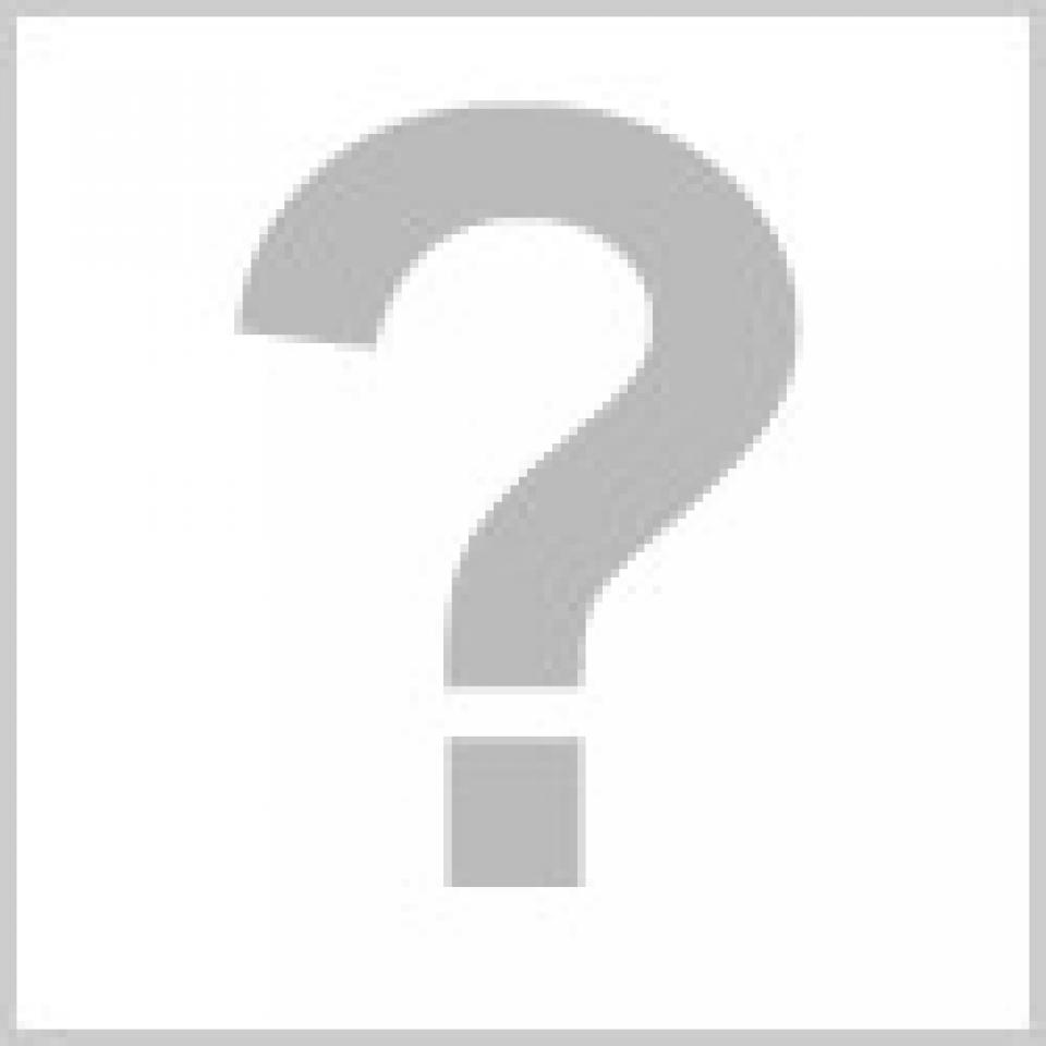 Accessoire DAYTONA pour Auto Neuf