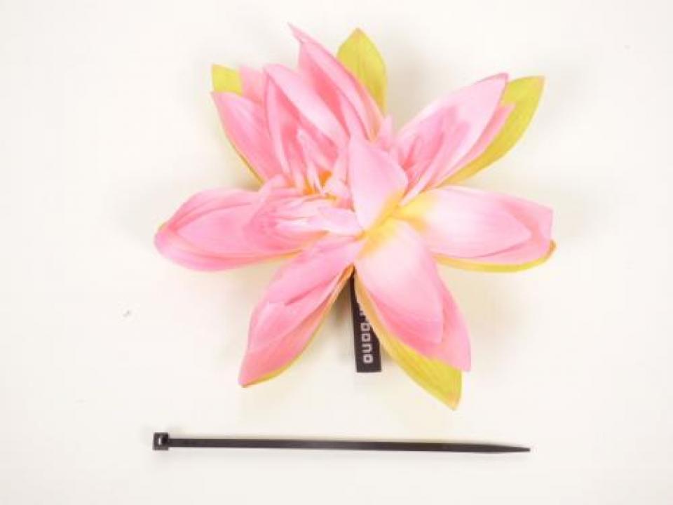 photo piece : Accessoire->