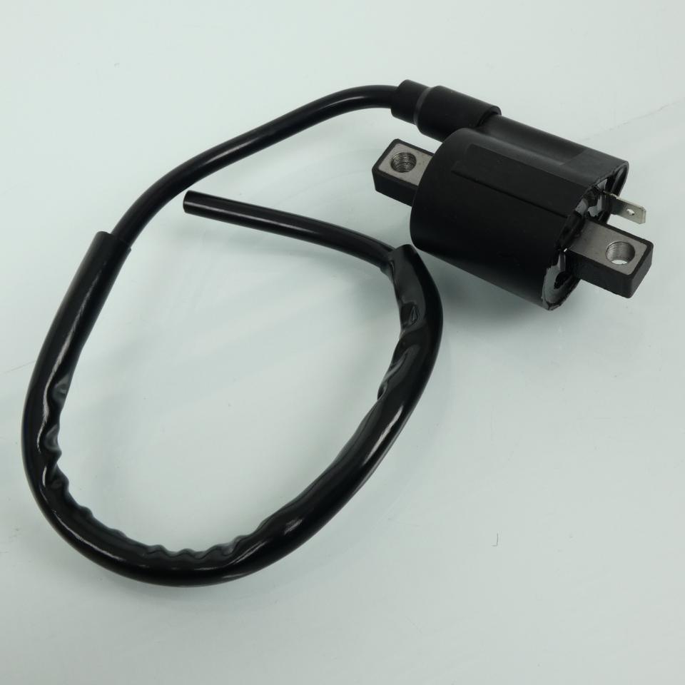 photo piece : Bobine d'allumage HT->Generic Trigger Sm