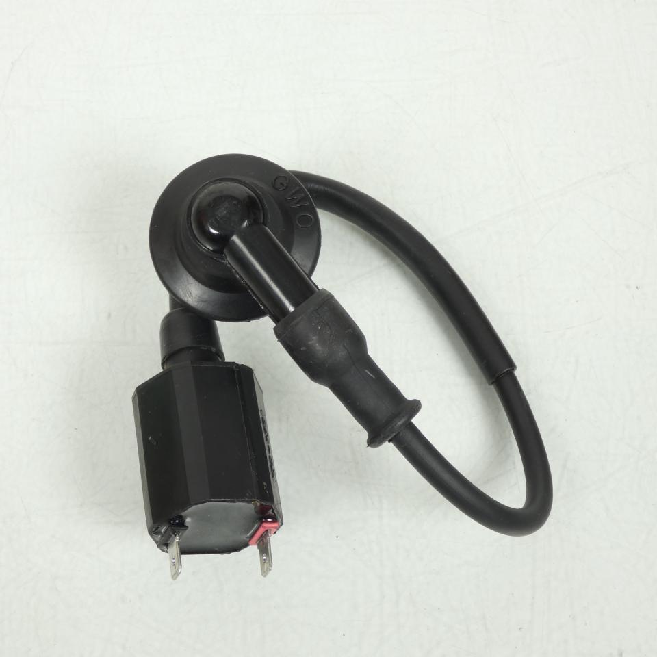 Bobine d'allumage HT pour scooter PGO 110 T-Rex C15846010001 TAIGENE IG51-CDI