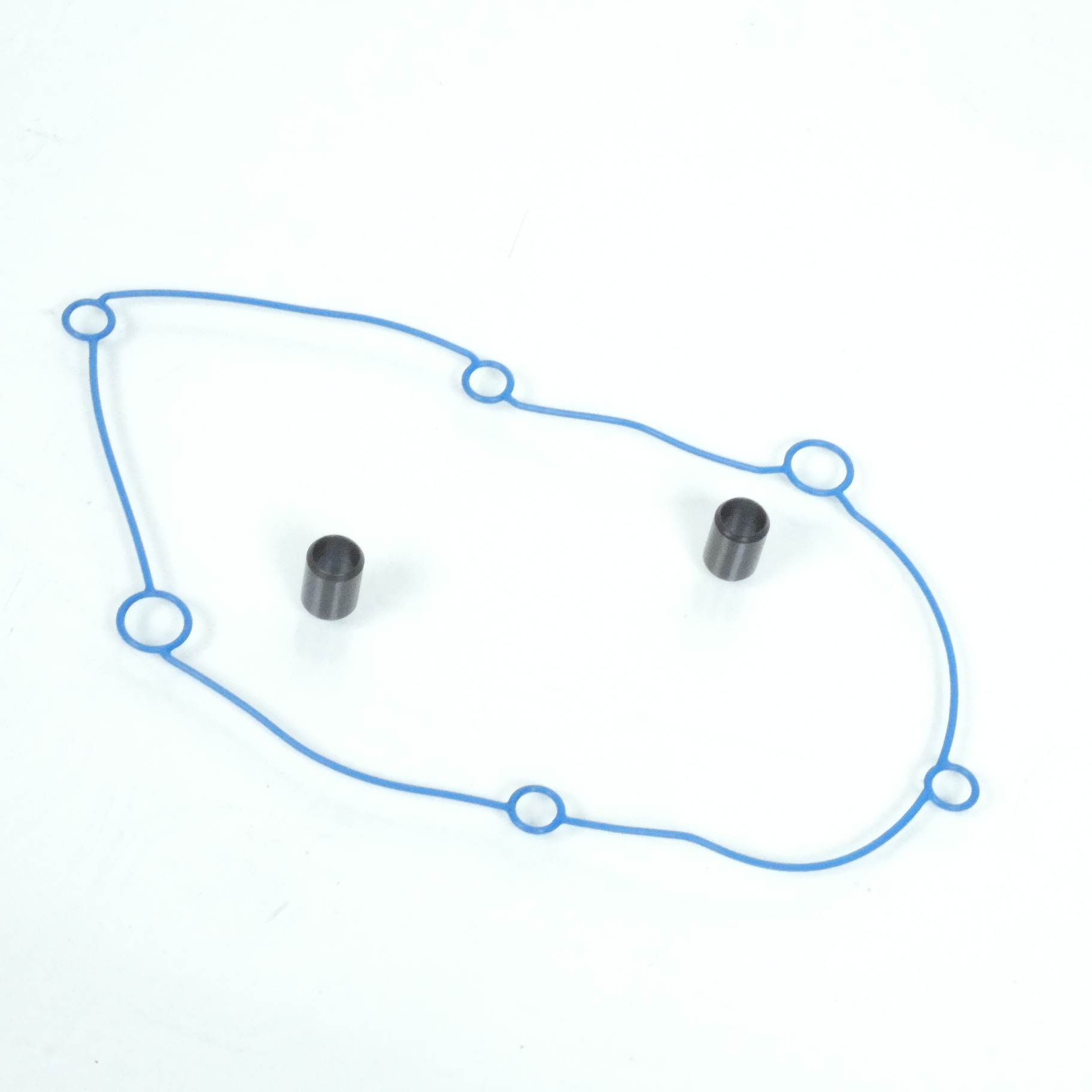 Carter de transmission Polini pour Scooter Aprilia 50 Amico Neuf
