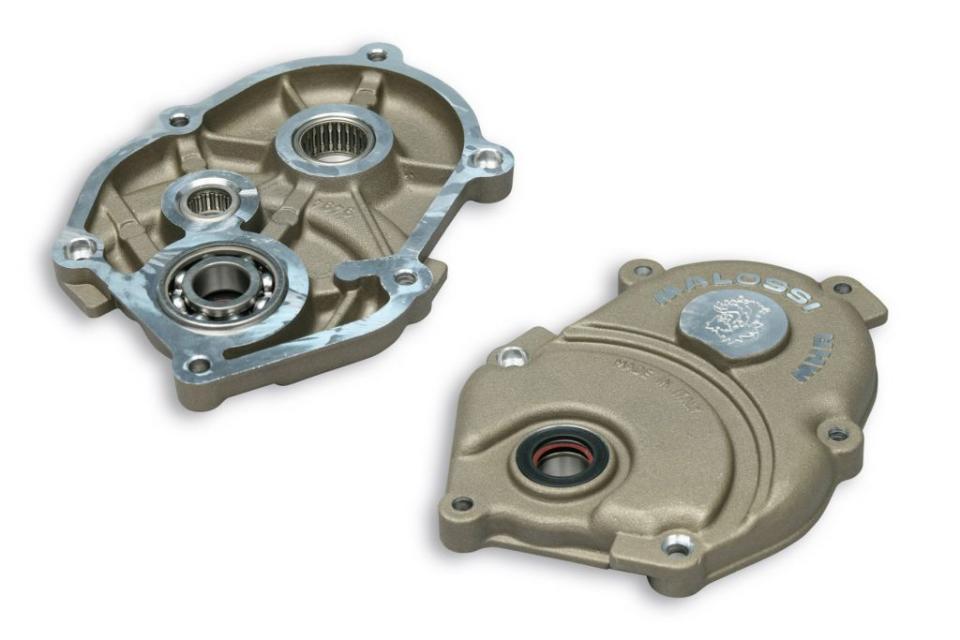 Carter de transmission Malossi Roller Crankcase MHR pour scooter MBK 50 Mach-G