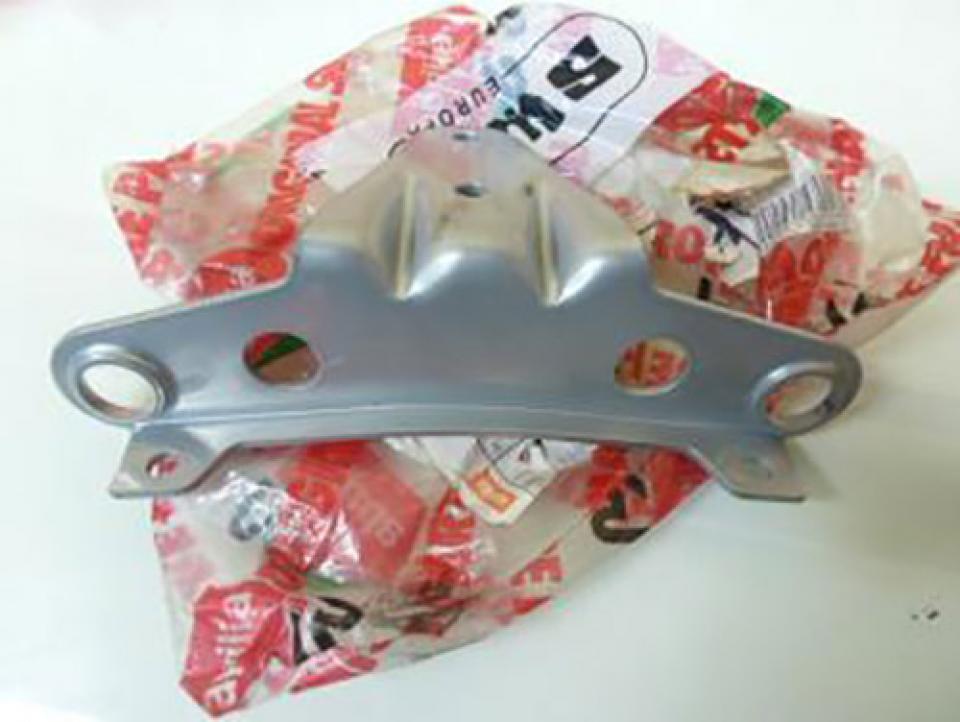 photo piece : Support divers->Aprilia Pegaso