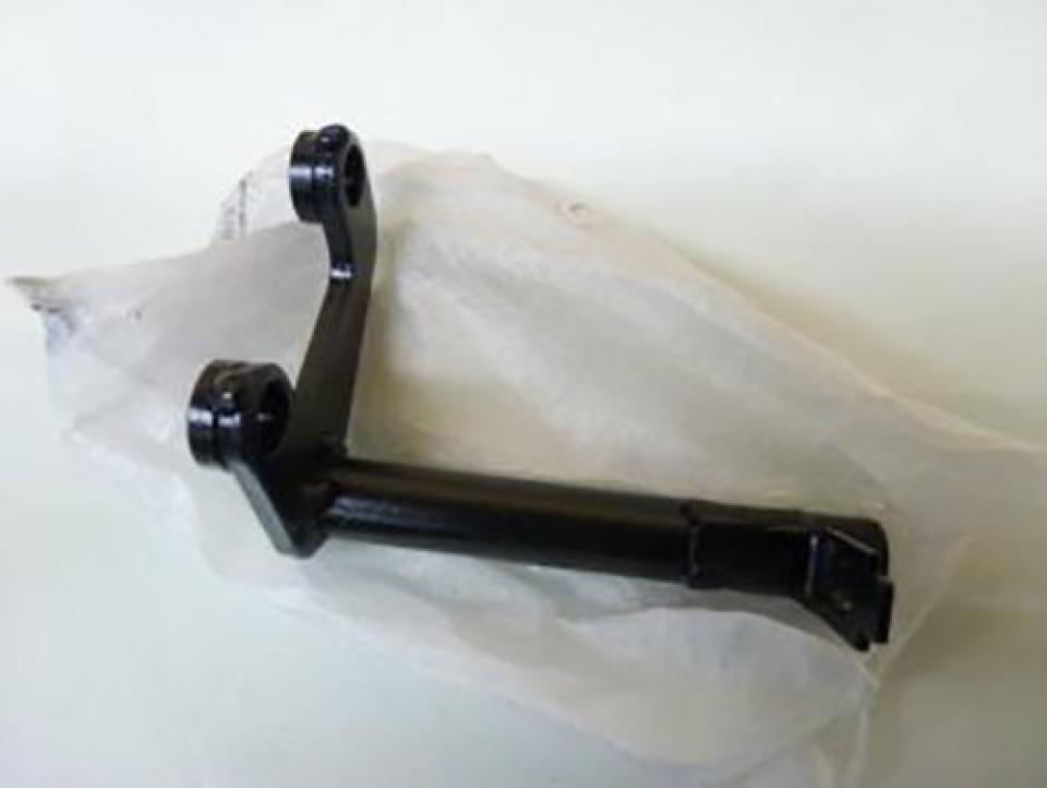 Support divers pour Aprilia RSV Tuono