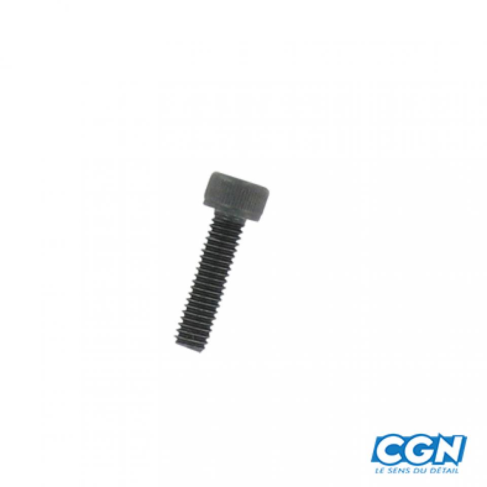 Une vis BTR de boite à kick pour mobylette MBK 51 M6 Pas 100 x 22mm Neuf