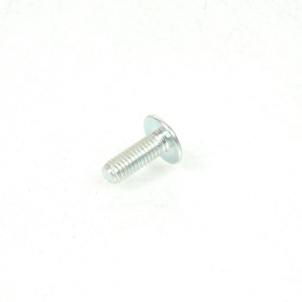 Vis M6x100 16mm pour moto Fantic 50 XE 2021 à 2024 Dôme large 02540005 Neuf