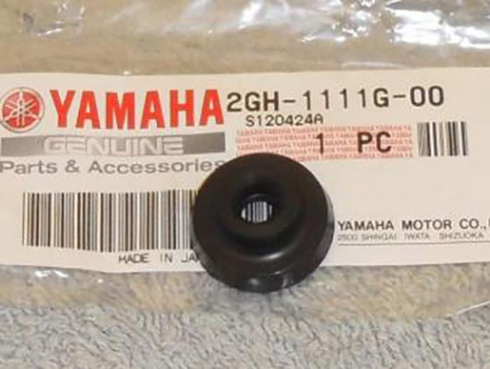 photo piece : Visserie->Yamaha Vmax