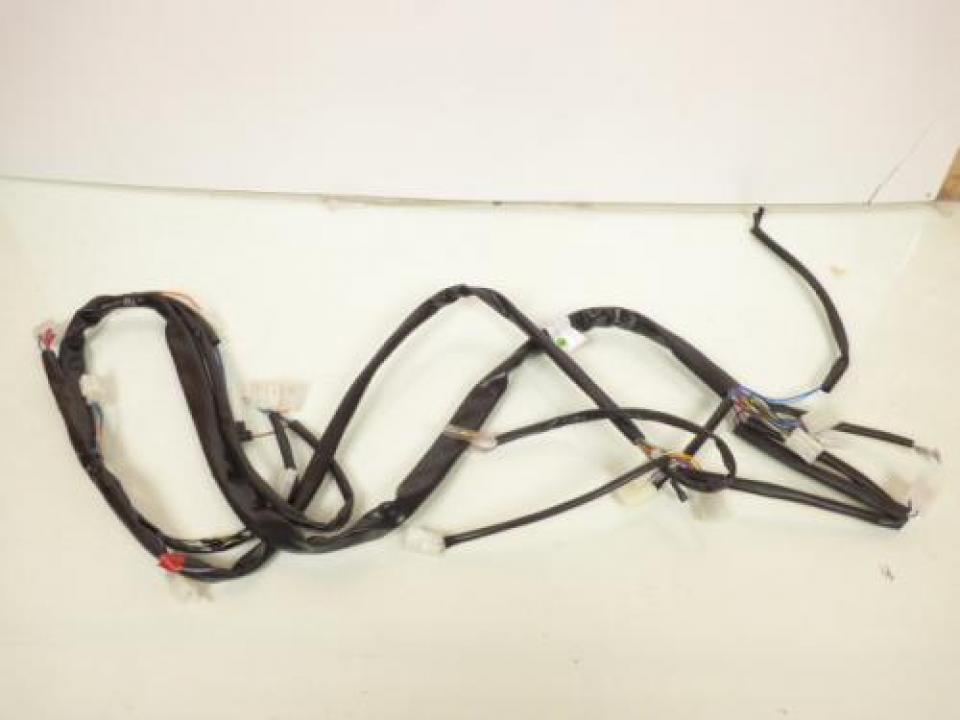 Faisceau électrique pour Aprilia Rally