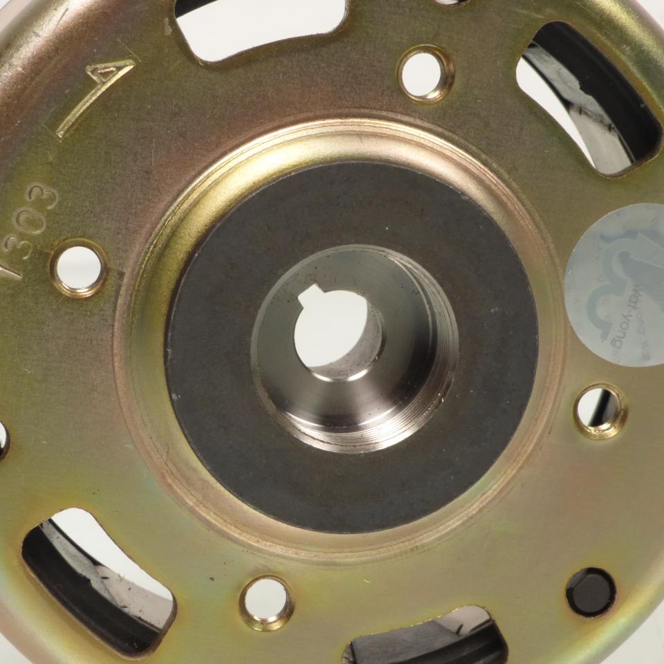 Volant magnétique d allumage P2R pour Scooter Peugeot 50 Ludix Avant 2020 Neuf