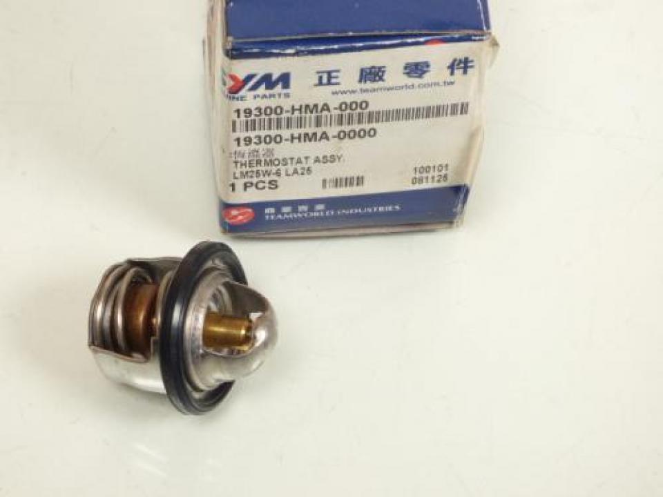 photo piece : Thermostat->Sym GTS