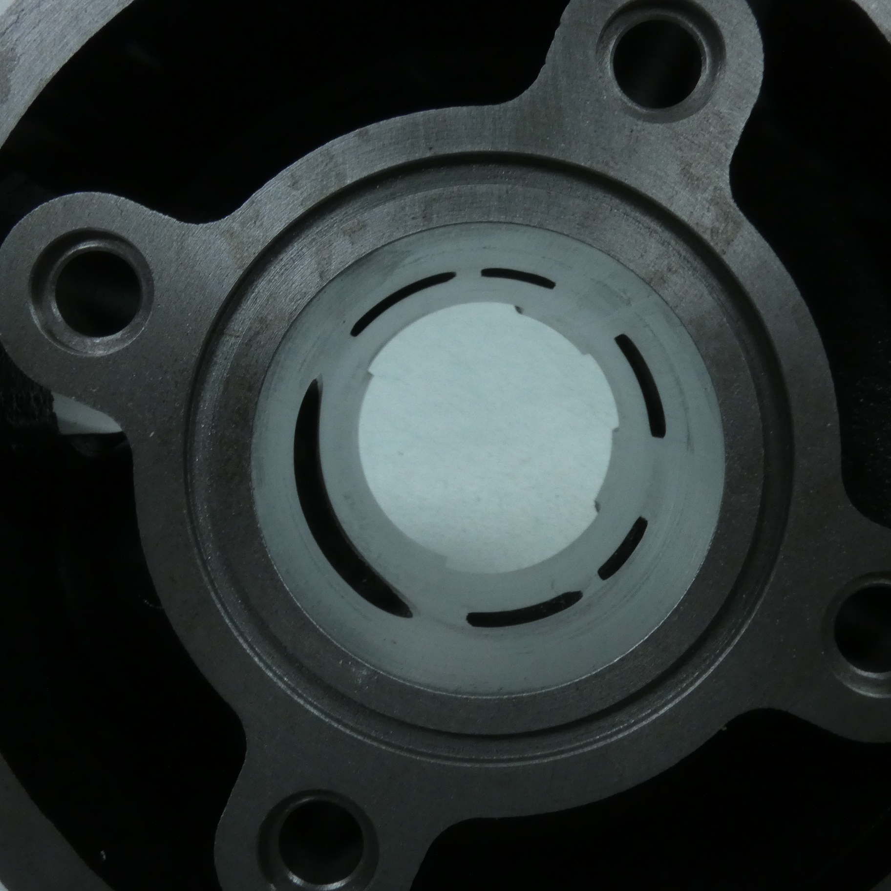 Haut moteur Polini pour Moto Beta 50 RR enduro Neuf