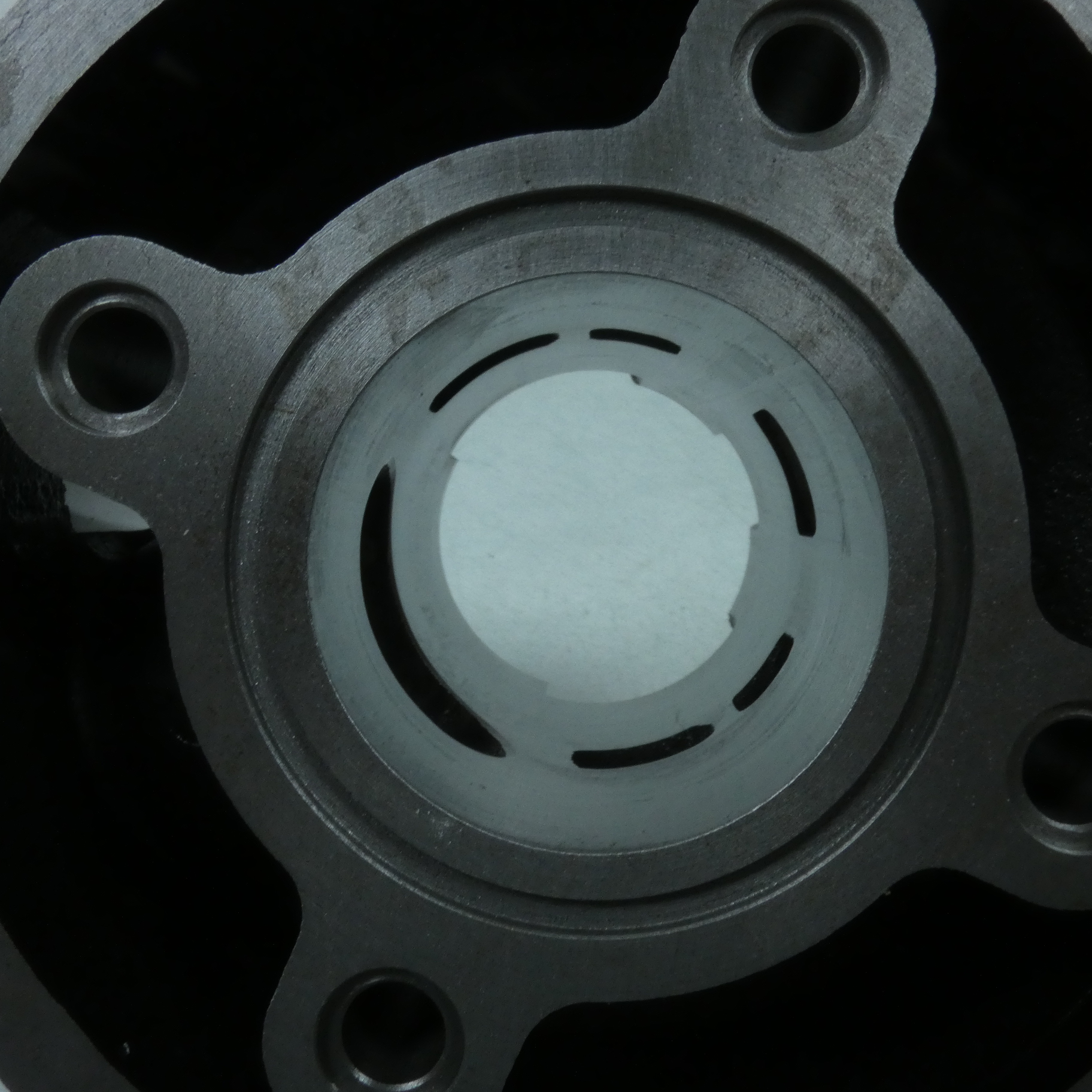 Haut moteur Polini pour Moto Vent 50 Baja Neuf