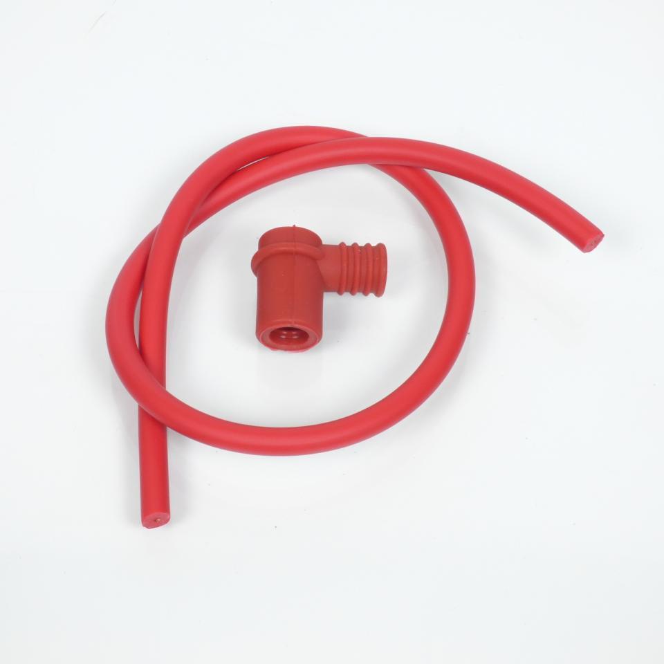photo piece : Antiparasite->