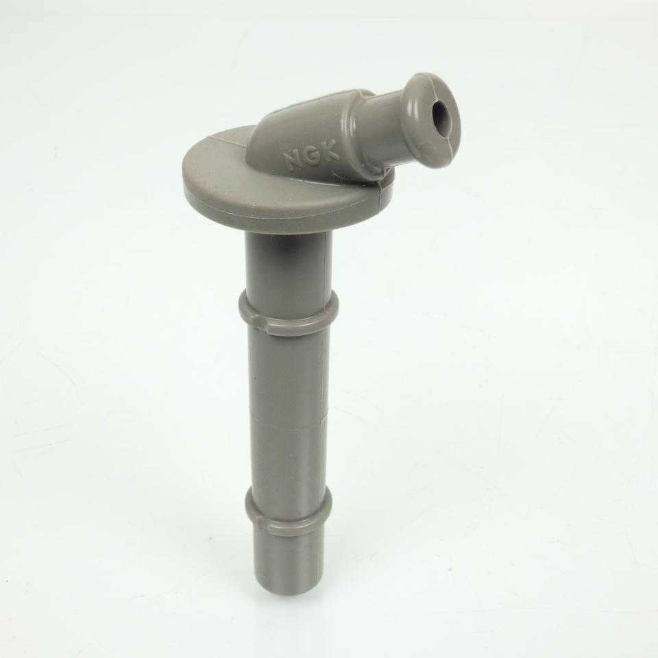 photo principale de la pièce