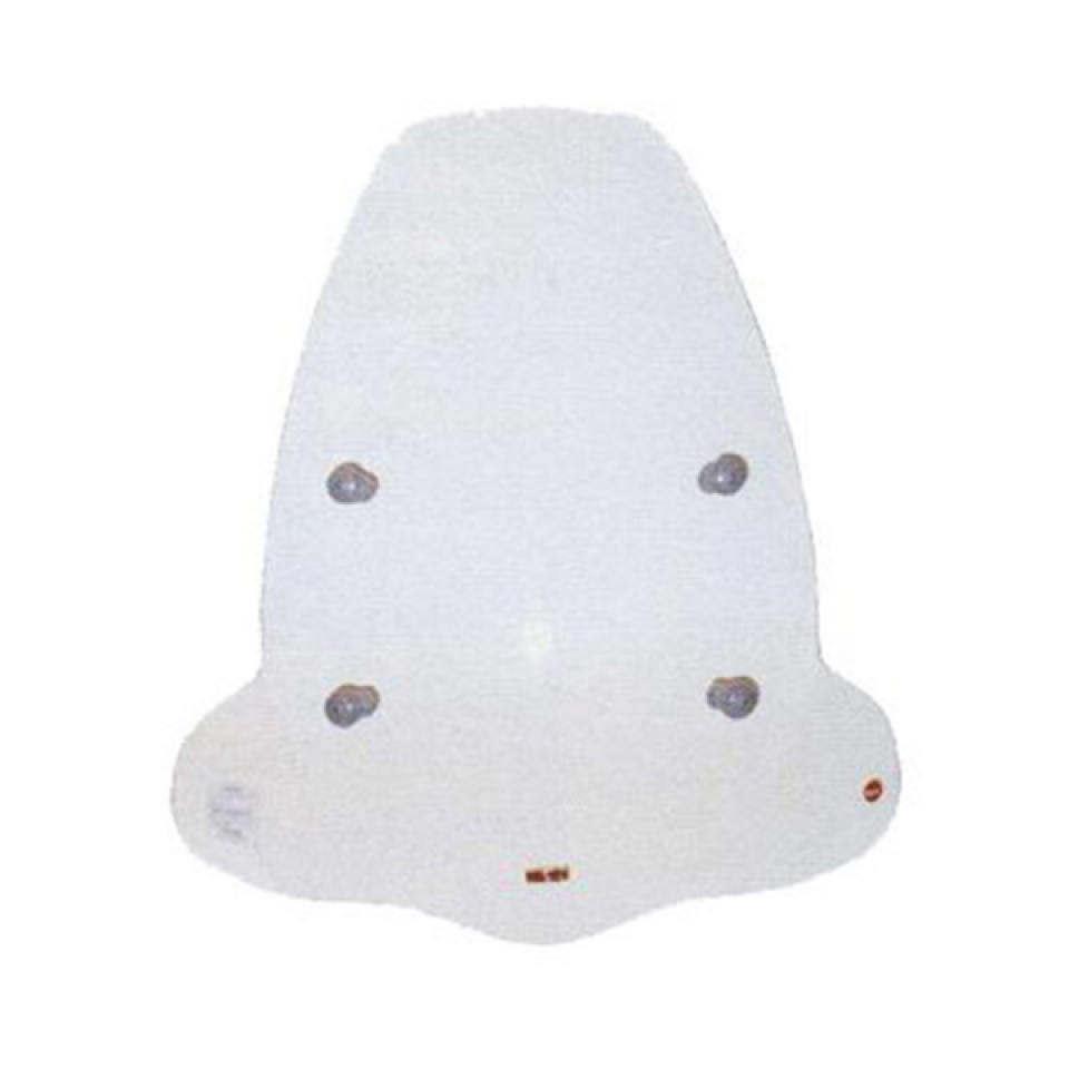 Pare brise FA.CO. pour pour Moto Neuf