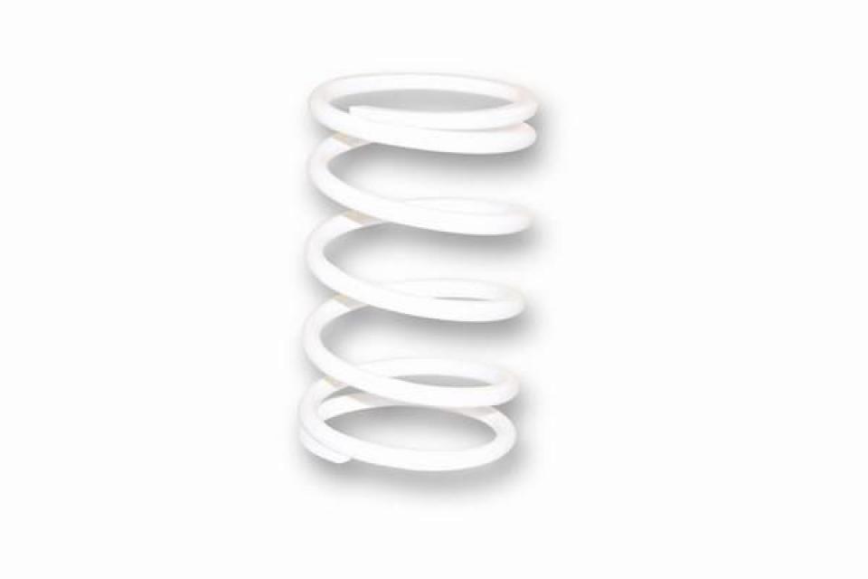 Ressort d embrayage Malossi pour Moto Honda 400 Silver Wing 2006 à 2013 2912478.W0 / 15k Neuf