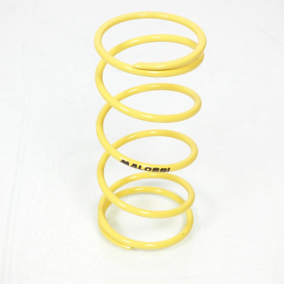 Ressort d embrayage Malossi pour Moto Suzuki 50 AP 1975 à 2002 Neuf