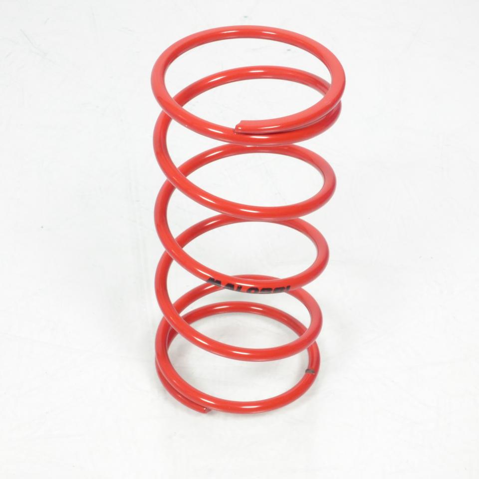 Ressort d embrayage Malossi pour Moto Suzuki 50 AP 1975 à 2002 Neuf