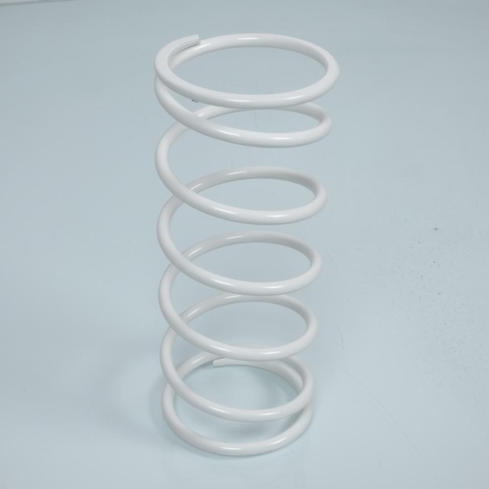 Ressort d embrayage Malossi pour Auto 2914121W0 Neuf