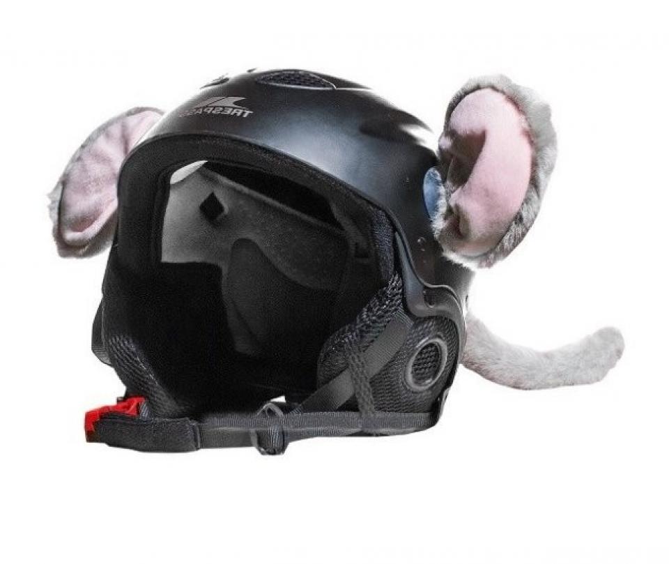 Accessoire casque Brazoline pour Auto Neuf