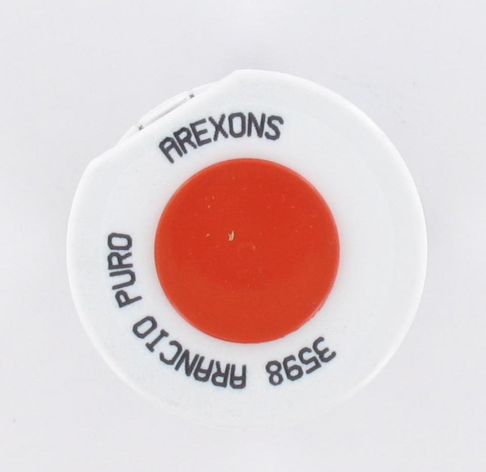 Bombe de peinture Arexons pour Auto Orange Pur / 400 ml Neuf