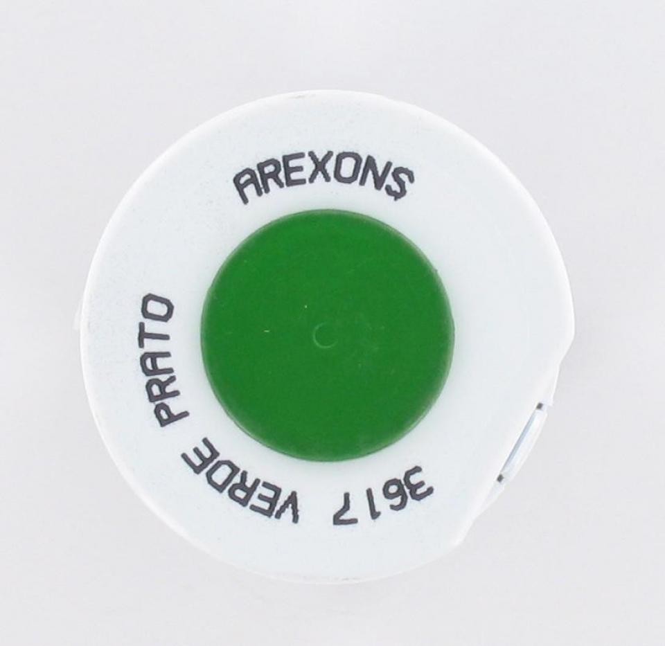 Bombe de peinture Arexons pour Auto Vert Gazon / 400 ml Neuf