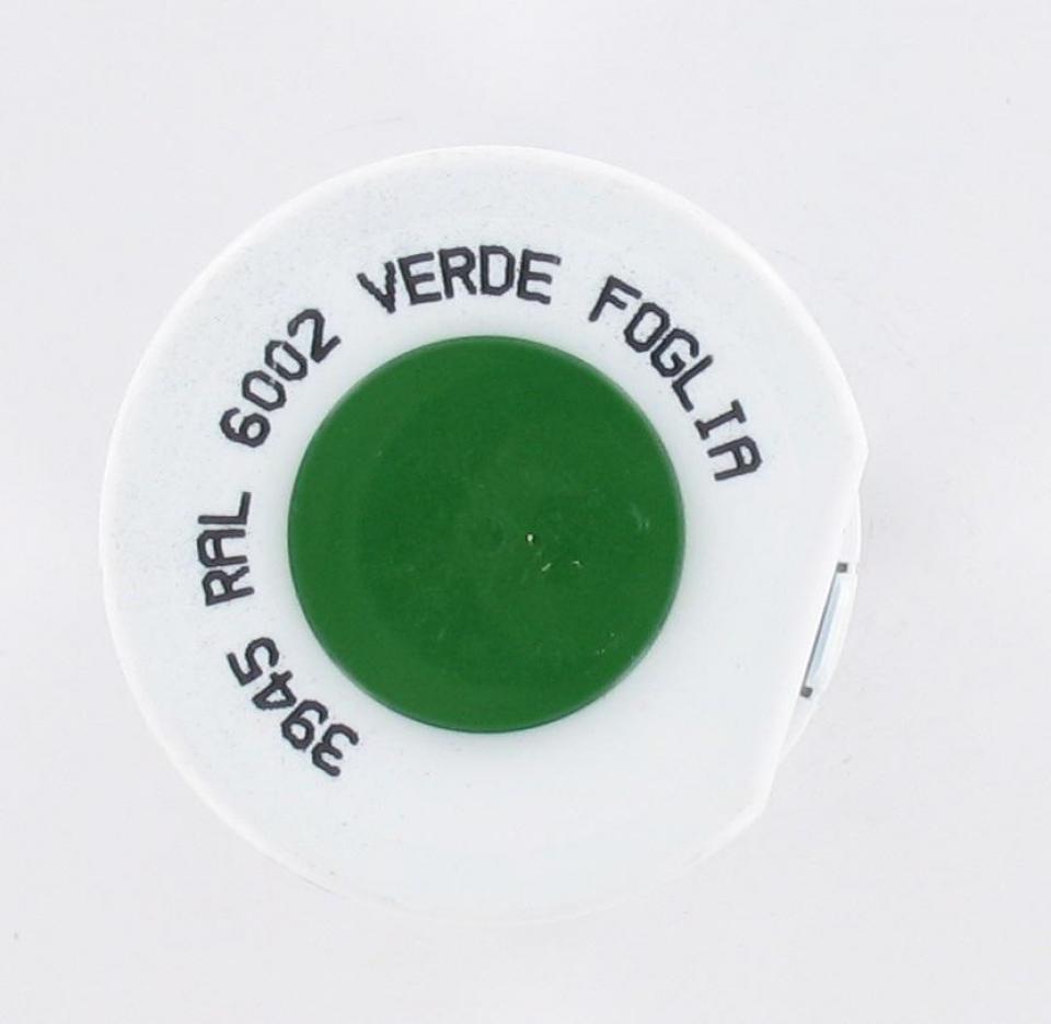 Bombe de peinture Arexons pour Auto Vert Feuille / RAL 6002 / 400 ml Neuf