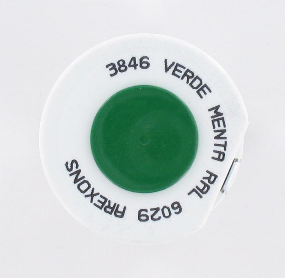Bombe de peinture Arexons pour Auto Vert Menthe Brillant / RAL 6029 / 400 ml Neuf