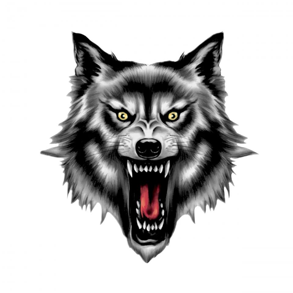 Autocollant stickers pour  